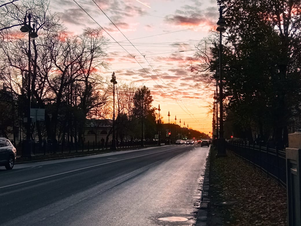 widoczna asfaltowa lekko dziurawa jezdnia, pobocze dużych drzew i piękne pierzaste szare chmury