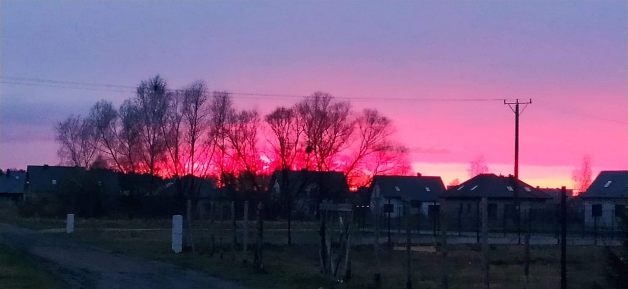 zachód słońca różowo granatowy, na pierwszym planie czarne budynki